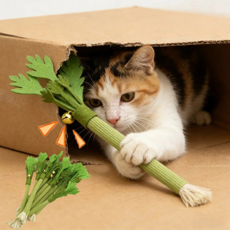 Cat Chew Toys Catnip Cat Teeth Cleaning Toy