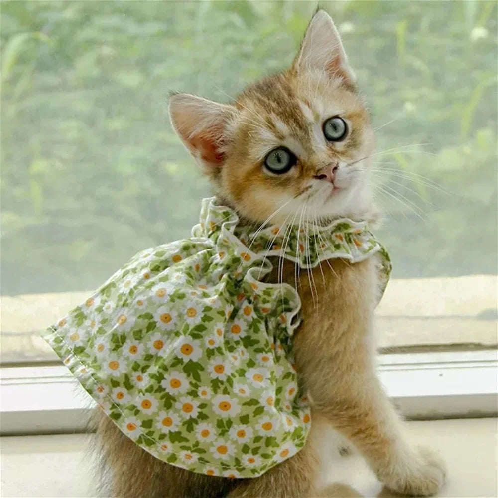 Summer Cotton Sphynx Cat Suspender