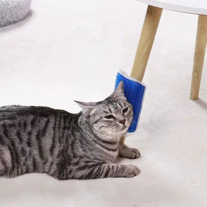 Cat Massage Tool Pet Hair Removal Massage