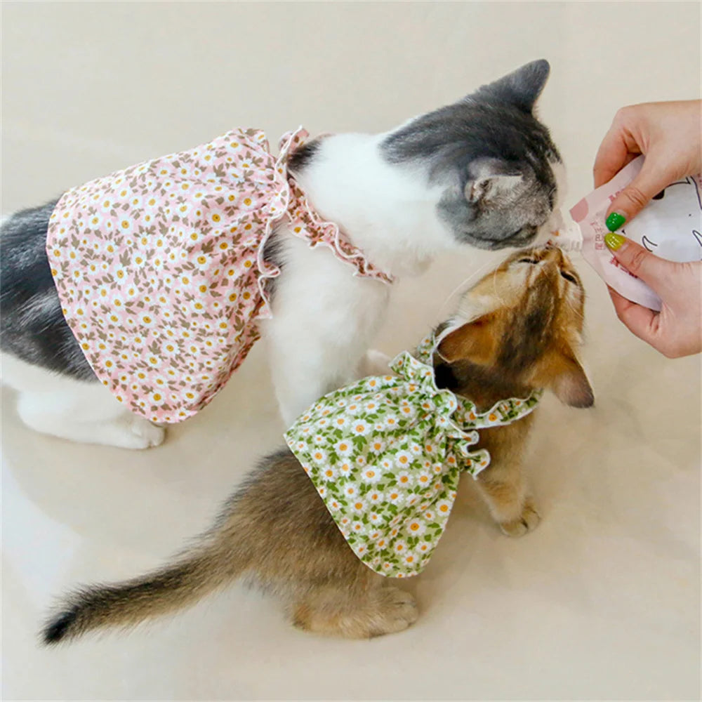 Summer Cotton Sphynx Cat Suspender