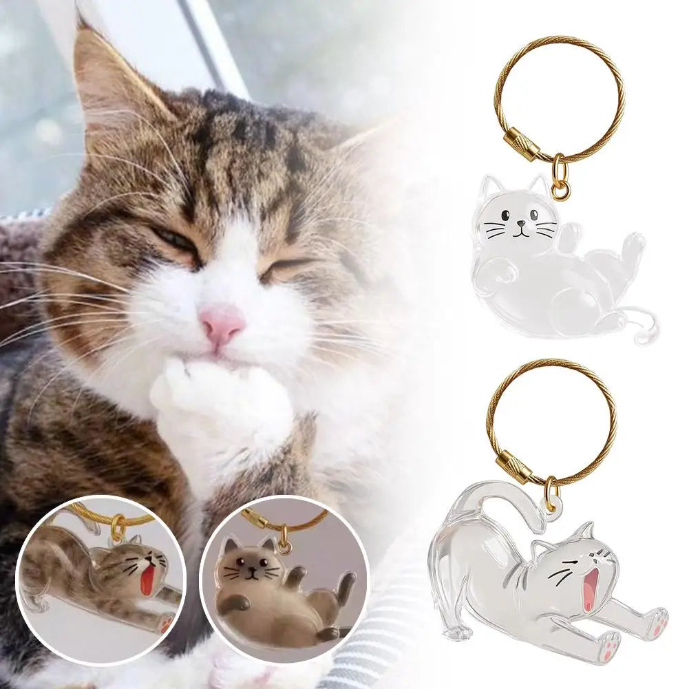 Cat Hair Storage Box Cat Accessories Cute Cat
