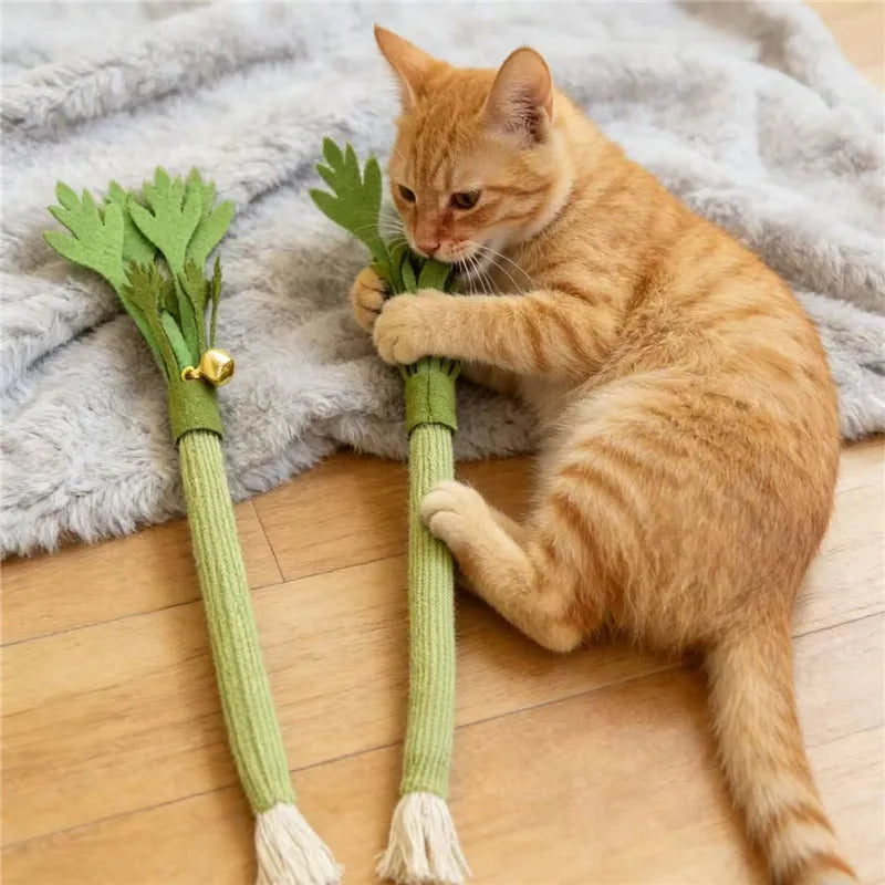 Cat Chew Toys Catnip Cat Teeth Cleaning Toy