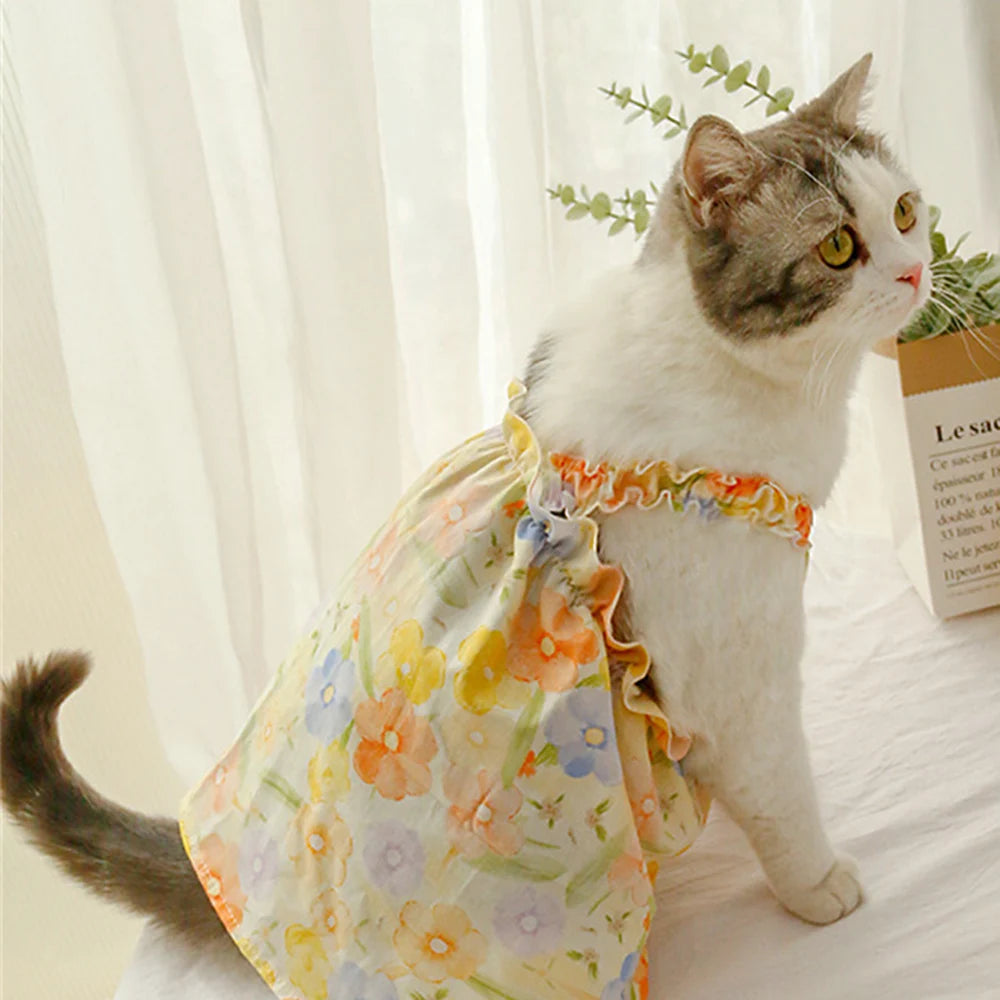 Summer Cotton Sphynx Cat Suspender